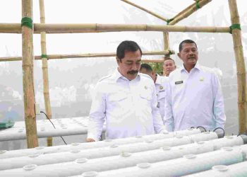 Kunjungi SAE L’Sima, Menimipas Dorong Kemandirian Warga Binaan Lewat Ketahanan Pangan