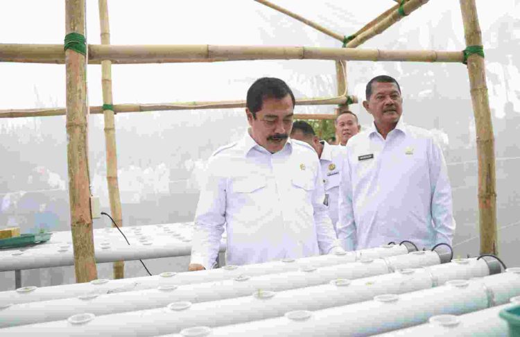 Kunjungi SAE L’Sima, Menimipas Dorong Kemandirian Warga Binaan Lewat Ketahanan Pangan