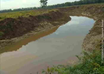 Tingkatkan Produksi, PT Buana Estate Normalisasi Kanal Sepanjang 4 Kilometer