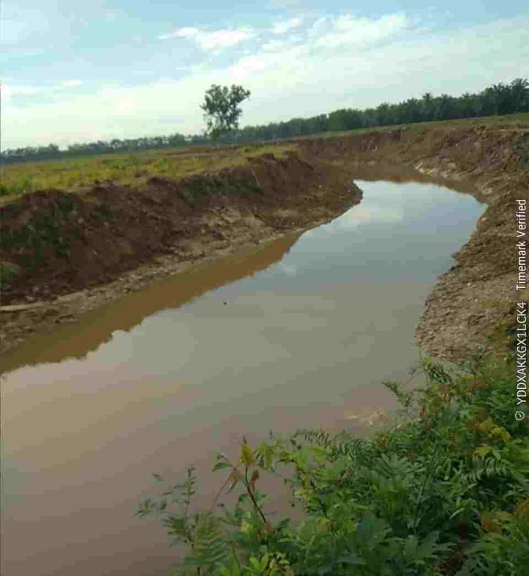 Tingkatkan Produksi, PT Buana Estate Normalisasi Kanal Sepanjang 4 Kilometer