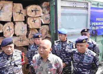 TNI AL Gagalkan Penyelundupan Kayu Ilegal Senilai Ratusan Juta di Tanjung Perak Surabaya