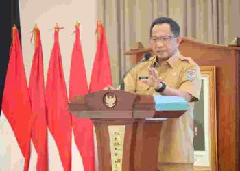 Mendagri: Pemda Berperan Penting Dukung Produktivitas Nasional