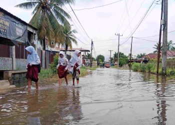 1.009 Pemukiman di Kelurahan Pekan Tanjung Pura Digenangi Banjir, 66 Rumah Terendam