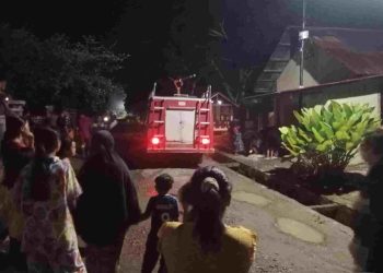 Sepuluh Pelajar SD di Tanjung Pura Diserang Tawon Gong