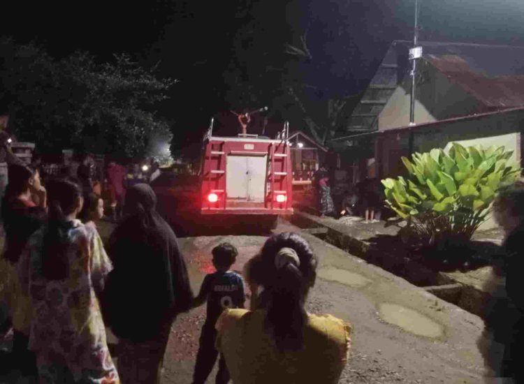 Sepuluh Pelajar SD di Tanjung Pura Diserang Tawon Gong