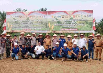 Dukung Swasembada, Penanaman Jagung Serentak Kuartal IV Digelar di Lahan PT Bahruny