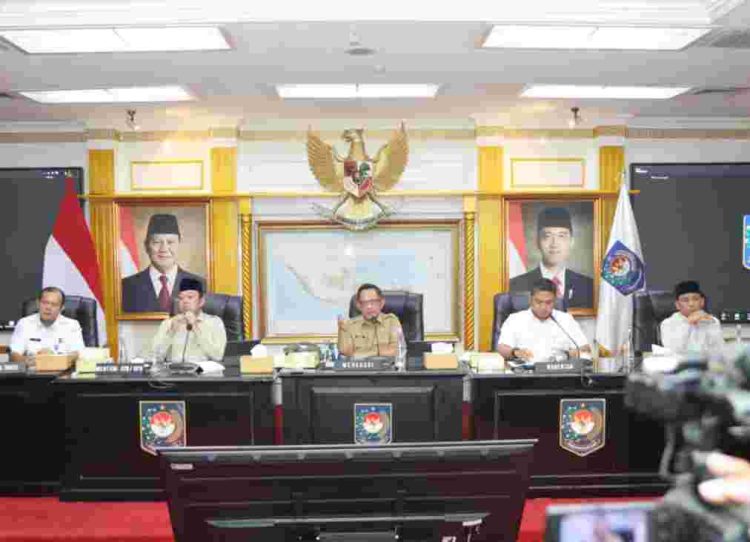 Mendagri: Dukung Ketahanan Pangan, Pemda Harus Buat Kebijakan Lindungi Persawahan