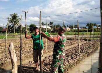 Koramil 11 Tanjung Pura Bantu Warga Optimalkan Perkarangan Rumah untuk Ketahanan Pangan