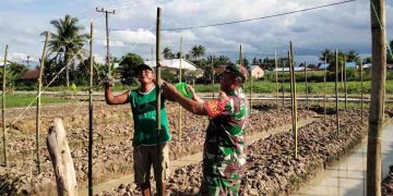 Koramil 11 Tanjung Pura Bantu Warga Optimalkan Perkarangan Rumah untuk Ketahanan Pangan