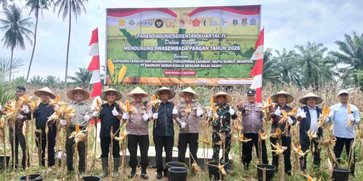 Dukung Swasembada Pangan, Panen Jagung Serentak Kuartal IV Digelar di Lahan PT Bahruny