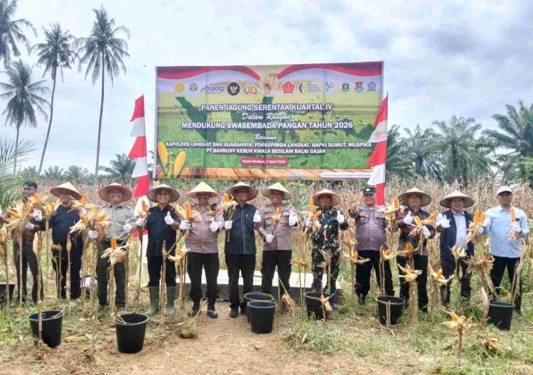 Dukung Swasembada Pangan, Panen Jagung Serentak Kuartal IV Digelar di Lahan PT Bahruny