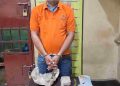 Satres Narkoba Polres Langkat Ringkus Warga Stabat, Amankan 33 Bungkus Ganja
