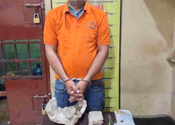 Satres Narkoba Polres Langkat Ringkus Warga Stabat, Amankan 33 Bungkus Ganja