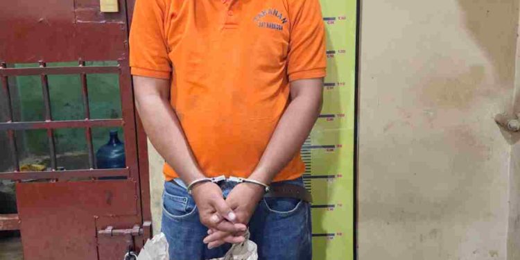 Satres Narkoba Polres Langkat Ringkus Warga Stabat, Amankan 33 Bungkus Ganja