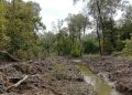 Perambahan Hutan dan Alih Fungsi Lahan Dinilai Memiskinkan Nelayan Tradisional di Langkat