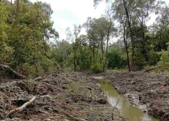 Perambahan Hutan dan Alih Fungsi Lahan Dinilai Memiskinkan Nelayan Tradisional di Langkat