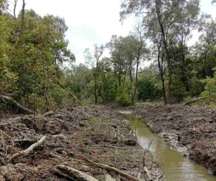 Perambahan Hutan dan Alih Fungsi Lahan Dinilai Memiskinkan Nelayan Tradisional di Langkat