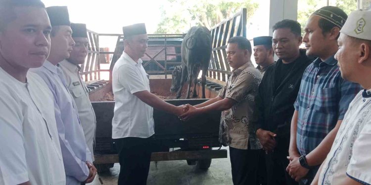 Bupati Langkat Serahkan Hewan Kurban ke Rutan Kelas IIB Tanjung Pura