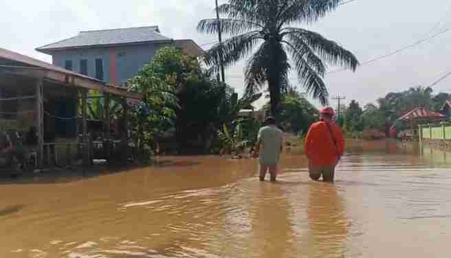 Curah Hujan Tinggi dan Pasang Laut, Warga Dusun Sidodadi Desa Sekoci Mengungsi