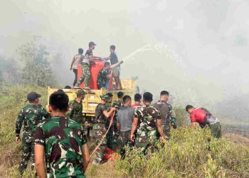Cepat Tanggap, Satgas Yonif 147/KGJ Padamkan Karhutla di Distrik Meyado