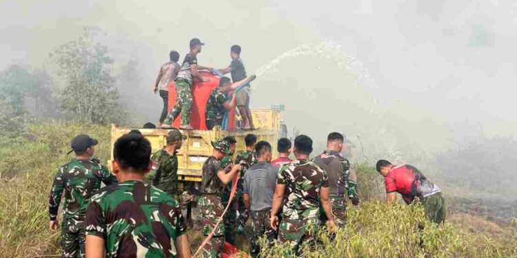Cepat Tanggap, Satgas Yonif 147/KGJ Padamkan Karhutla di Distrik Meyado