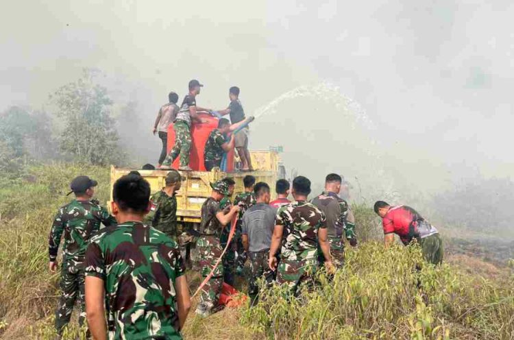 Cepat Tanggap, Satgas Yonif 147/KGJ Padamkan Karhutla di Distrik Meyado